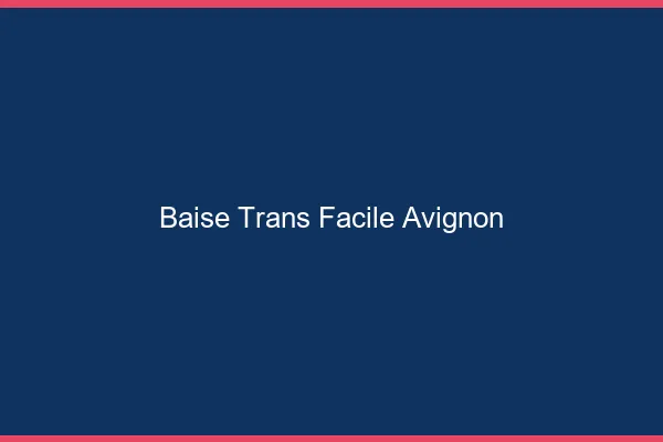 Baise Trans Facile Avignon