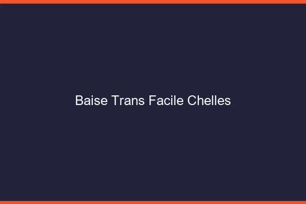 Baise Trans Facile Chelles