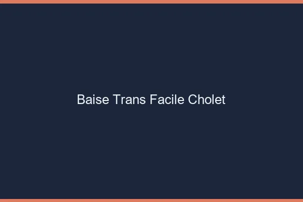 Baise Trans Facile Cholet