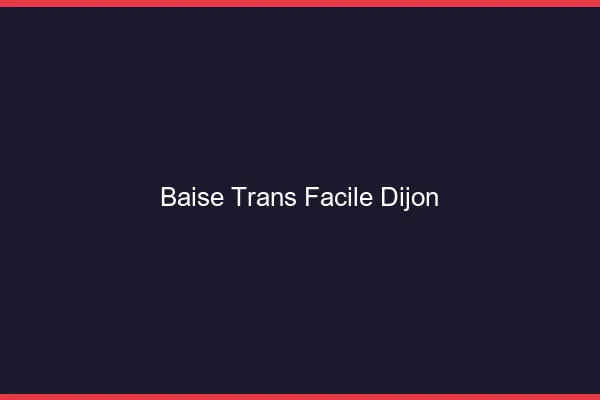 Baise Trans Facile Dijon