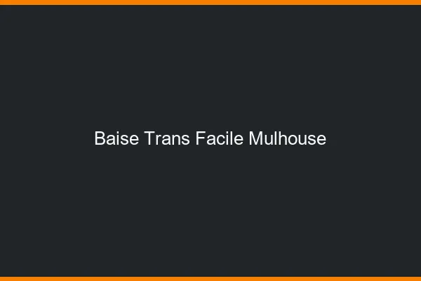 Baise Trans Facile Mulhouse