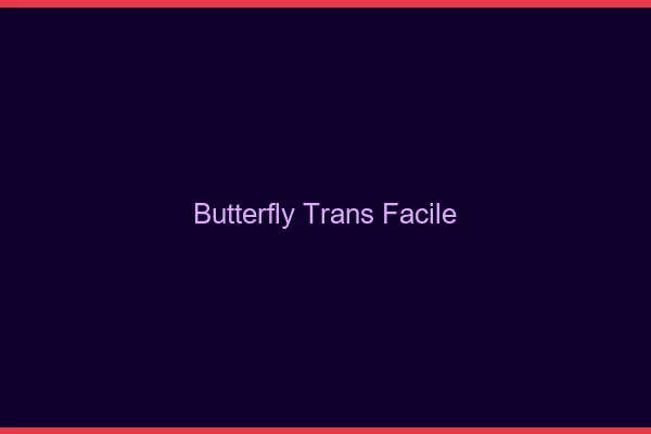Butterfly trans facile