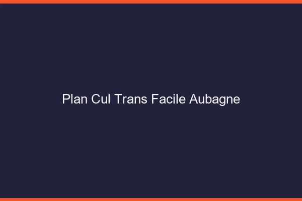 Plan Cul Trans Facile Aubagne