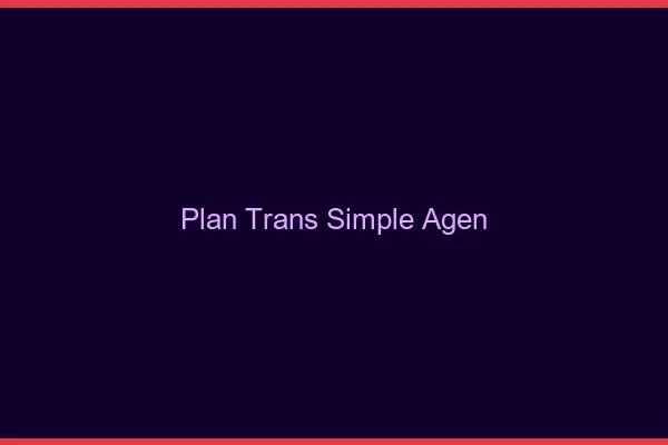Plan Trans Simple Agen