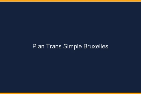 Plan Trans Simple Bruxelles