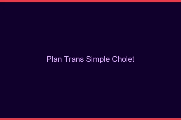 Plan Trans Simple Cholet
