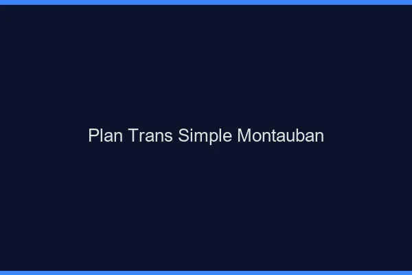 Plan Trans Simple Montauban