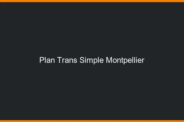 Plan Trans Simple Montpellier