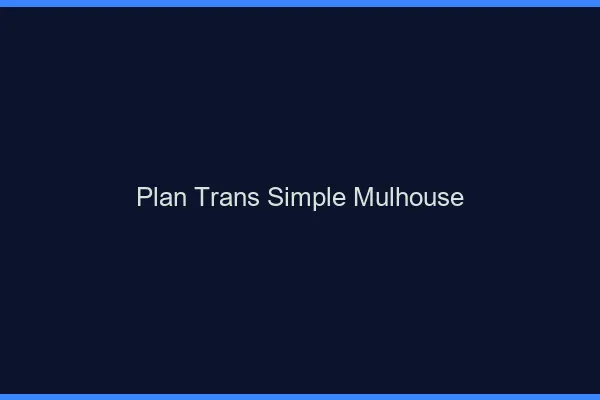 Plan Trans Simple Mulhouse
