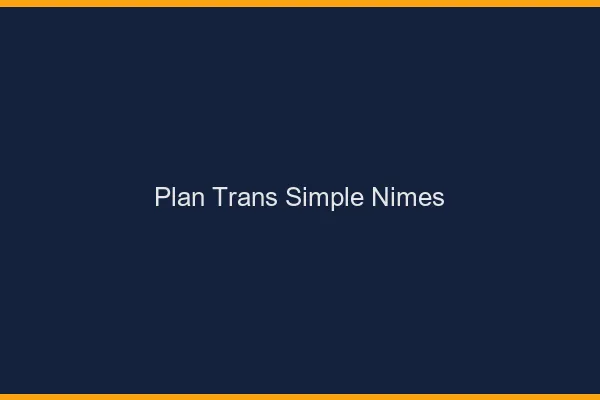 Plan Trans Simple Nîmes