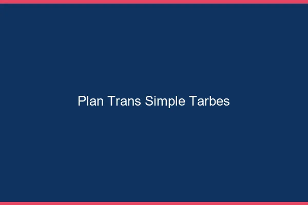 Plan Trans Simple Tarbes