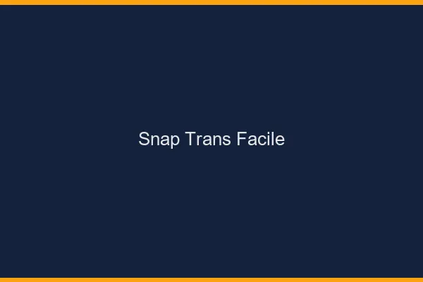 Snap trans facile
