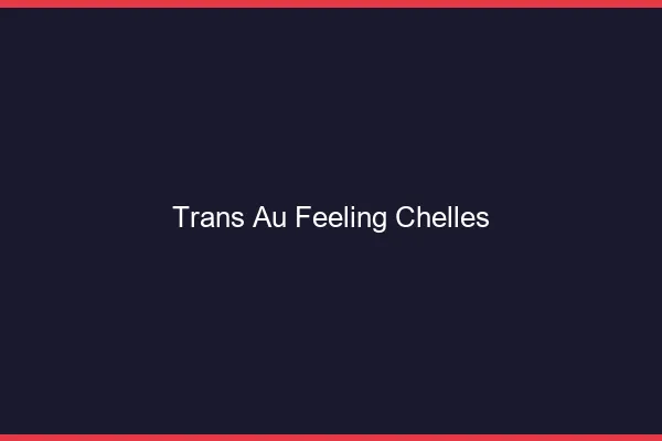 Trans au Feeling Chelles