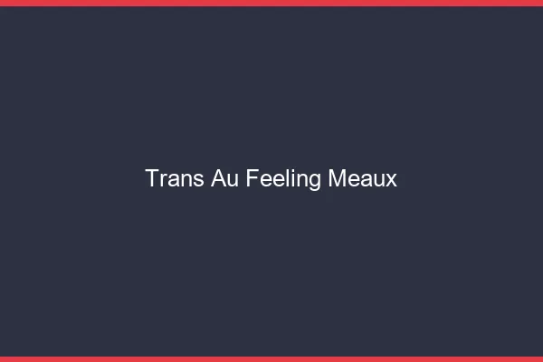 Trans au Feeling Meaux