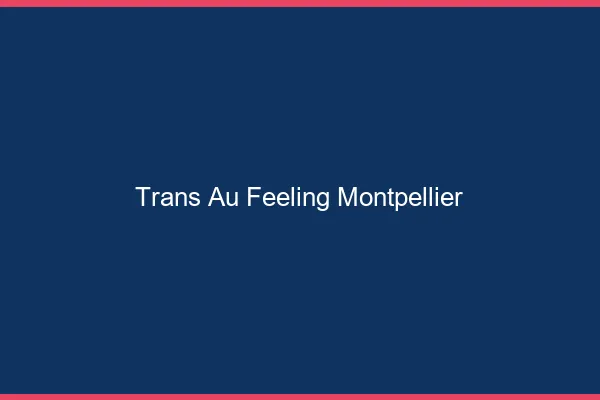 Trans au Feeling Montpellier