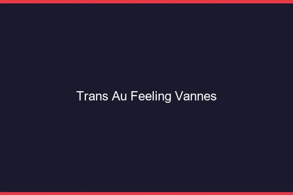 Trans au Feeling Vannes