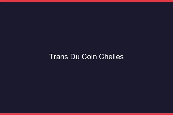 Trans du Coin Chelles