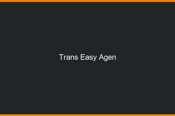 Trans Easy Agen