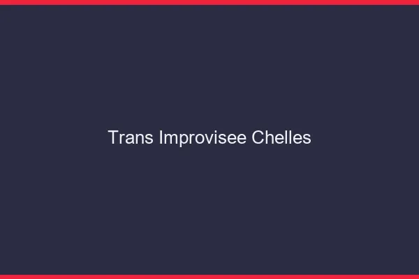 Trans Improvisée Chelles