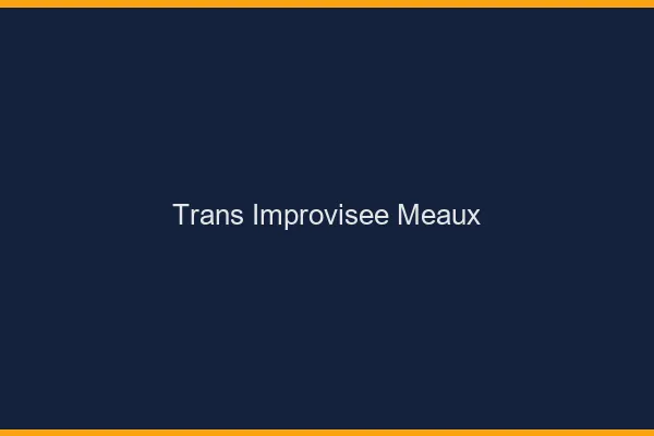 Trans Improvisée Meaux