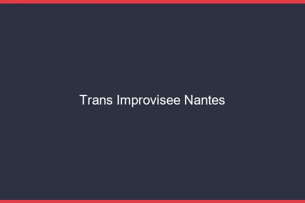 Trans Improvisée Nantes