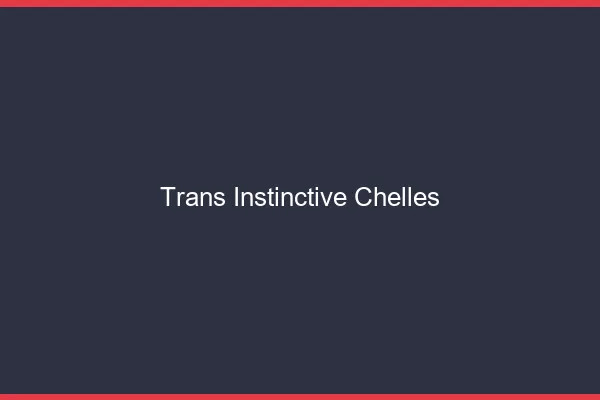 Trans Instinctive Chelles