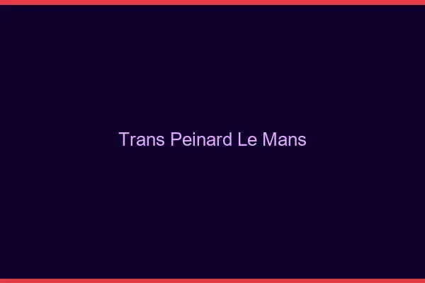 Trans Peinard Le Mans