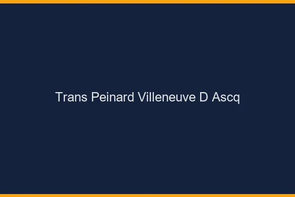 Trans Peinard Villeneuve-d'Ascq