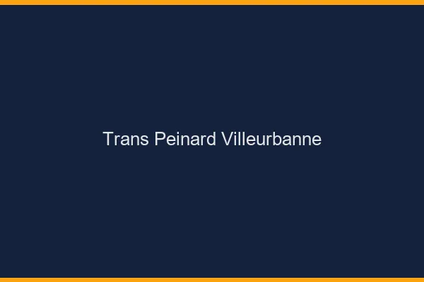 Trans Peinard Villeurbanne