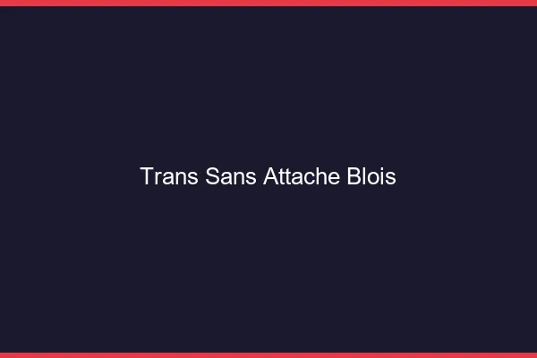 Trans Sans Attache Blois