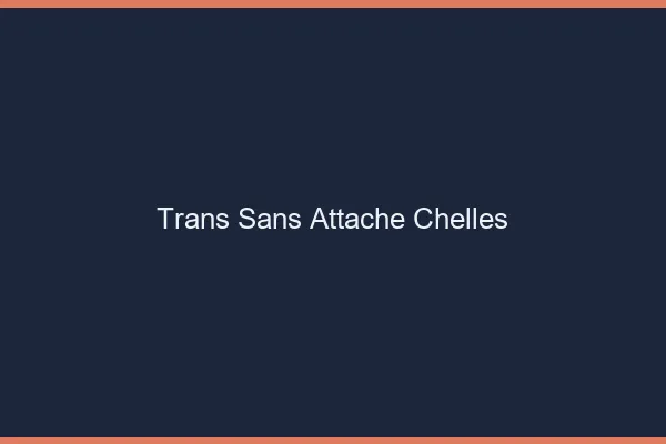 Trans Sans Attache Chelles