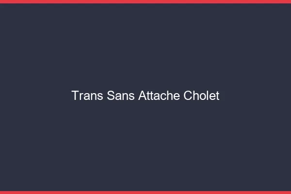 Trans Sans Attache Cholet