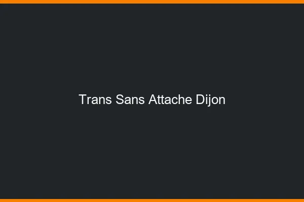 Trans Sans Attache Dijon