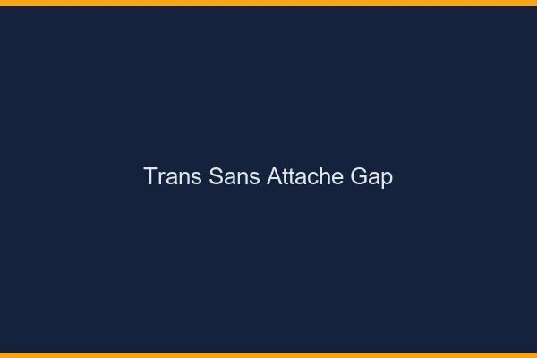 Trans Sans Attache Gap