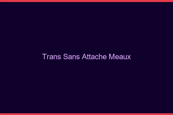 Trans Sans Attache Meaux