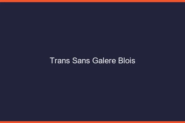 Trans Sans Galère Blois