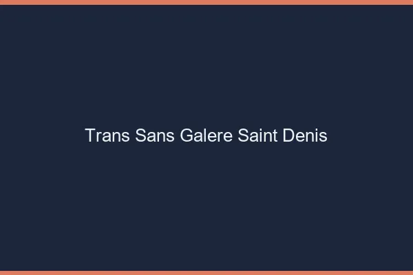 Trans Sans Galère Saint-Denis