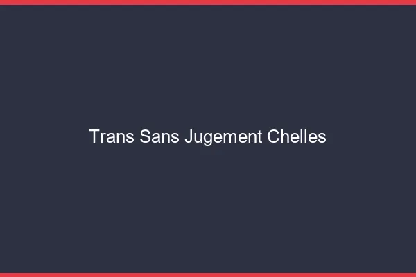 Trans Sans Jugement Chelles
