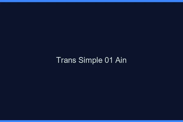 Trans Simple 01 ain
