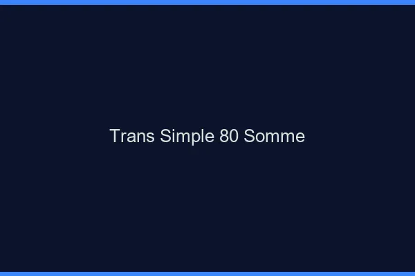 Trans Simple 80 somme