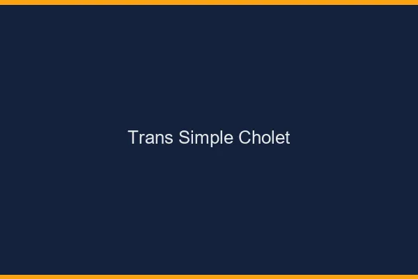 Trans Simple Cholet