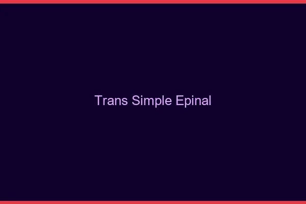 Trans Simple Épinal
