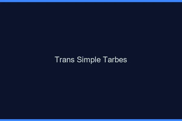 Trans Simple Tarbes