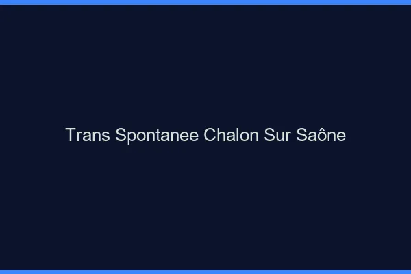 Trans Spontanée Chalon-sur-Saône