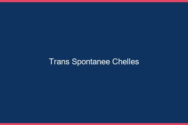 Trans Spontanée Chelles