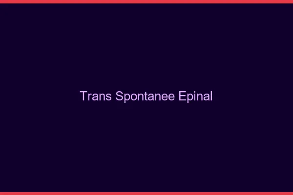Trans Spontanée Épinal