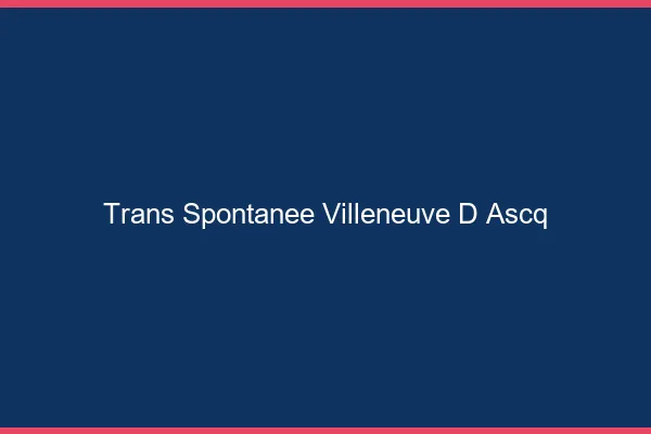 Trans Spontanée Villeneuve-d'Ascq