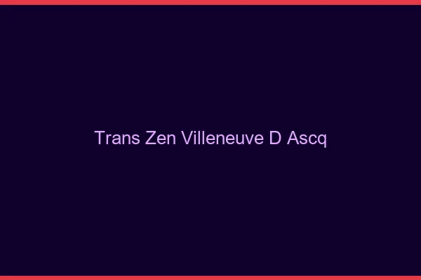Trans Zen Villeneuve-d'Ascq